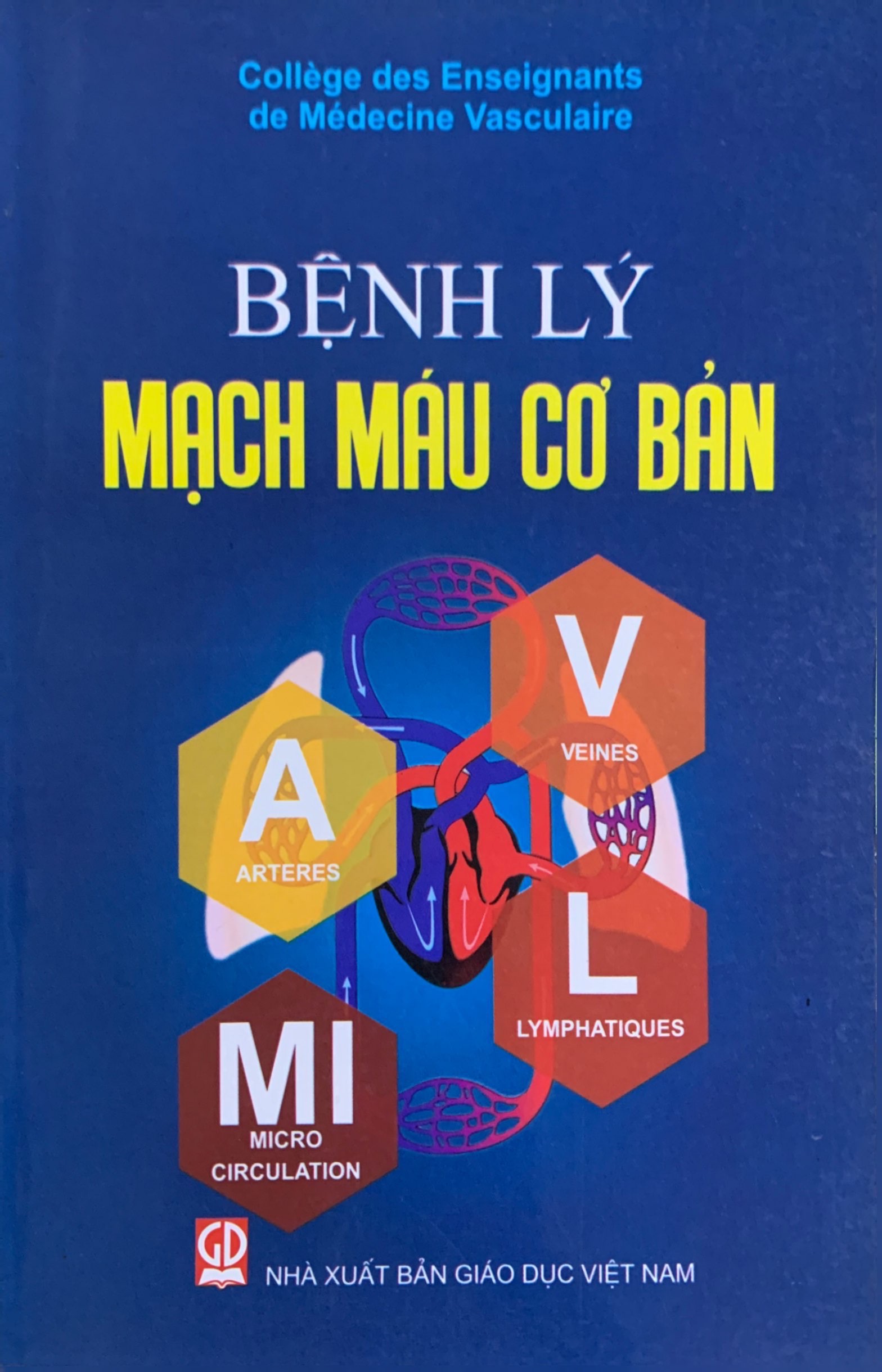 Bệnh lý mạch máu cơ bản