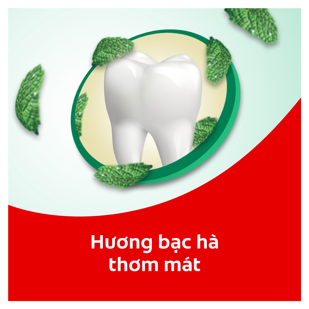 Bộ 2 hộp Chỉ nha khoa Colgate Total Dental Floss hương bạc hà