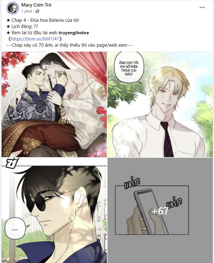 đóa hoa batavia của tôi chapter 4.2 21