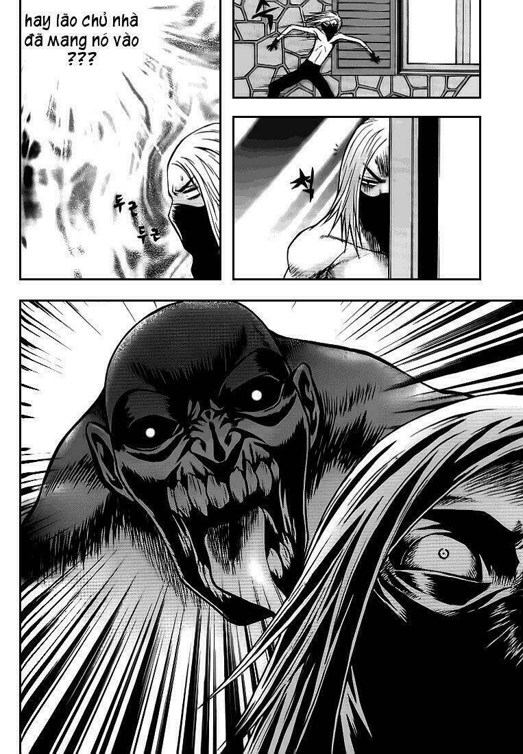 zippy ziggy chapter 20 11