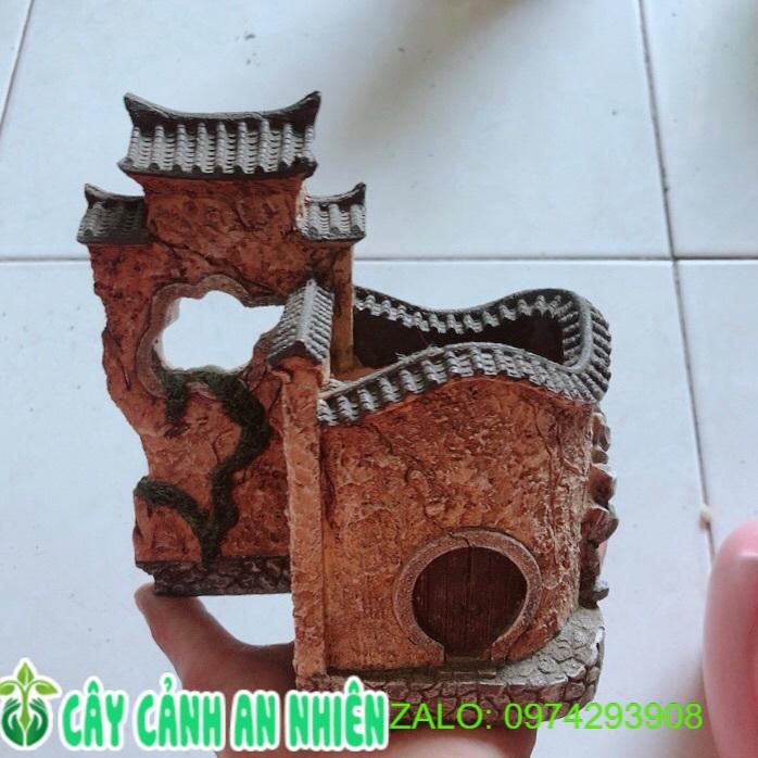 Chậu Trồng Cây