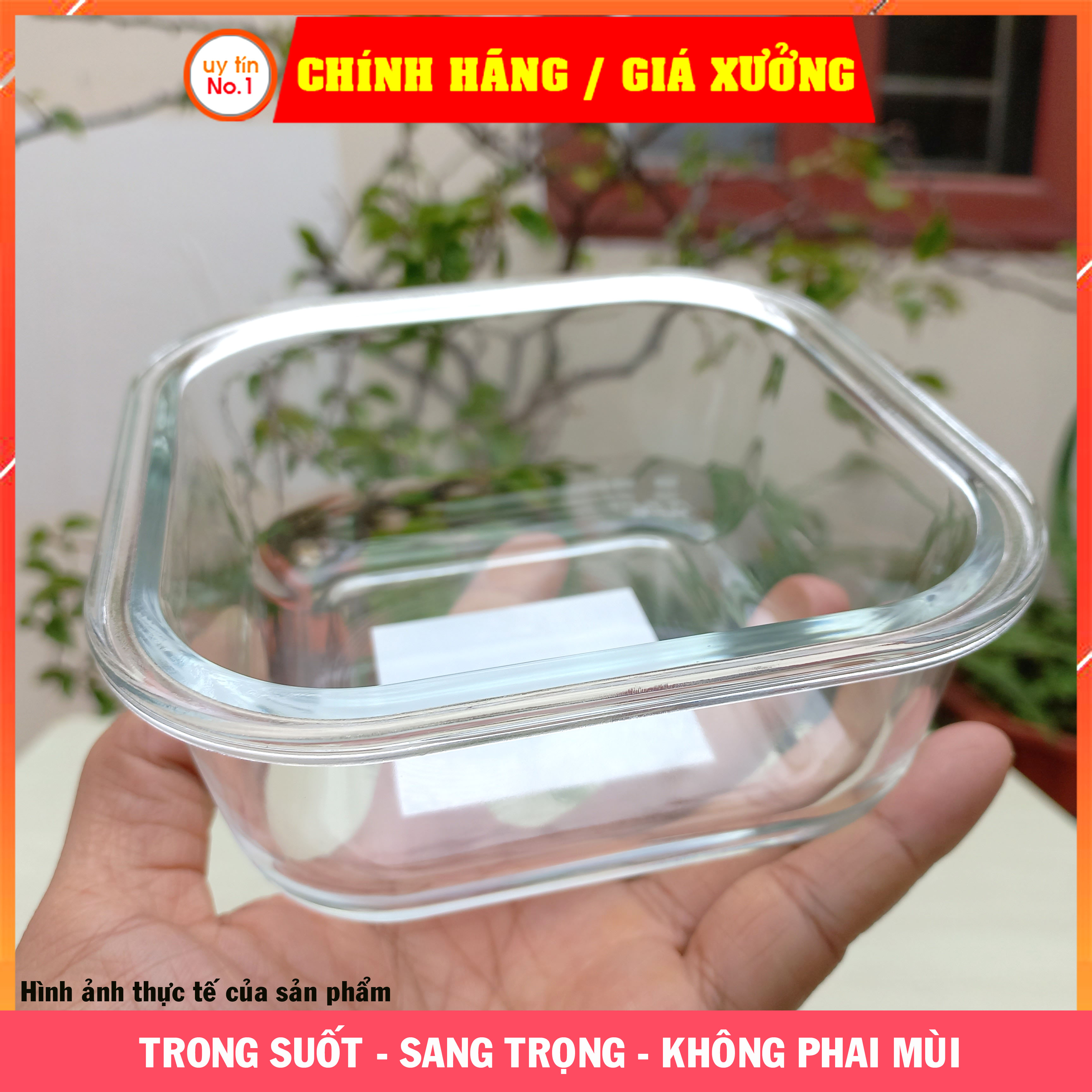 Hộp đựng thực phẩm Lock&amp;Lock chính hãng bằng thuỷ tinh LLG238 320ml LLG239 520ml LLG242 800ml nắp màu đỏ