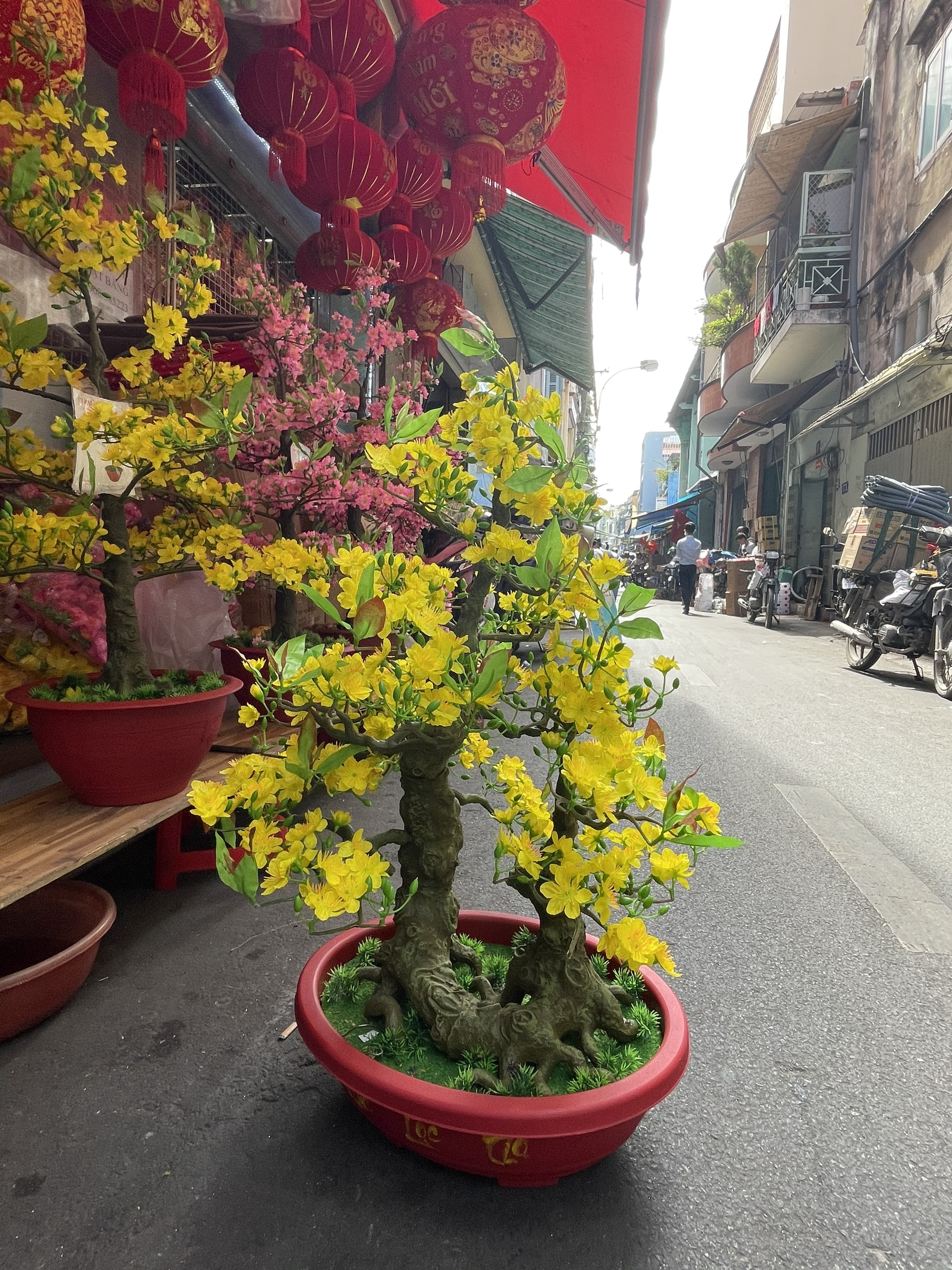 Cây Hoa Mai Bonsai Nhựa Cao 92 cm Hoa Mai Trang Trí Tết