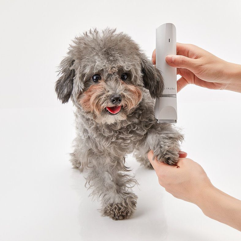 TÔNG ĐƠ ĐA NĂNG PETKIT 2IN1 CHUYÊN DỤNG CẮT TỈA CHO THÚ CƯNG