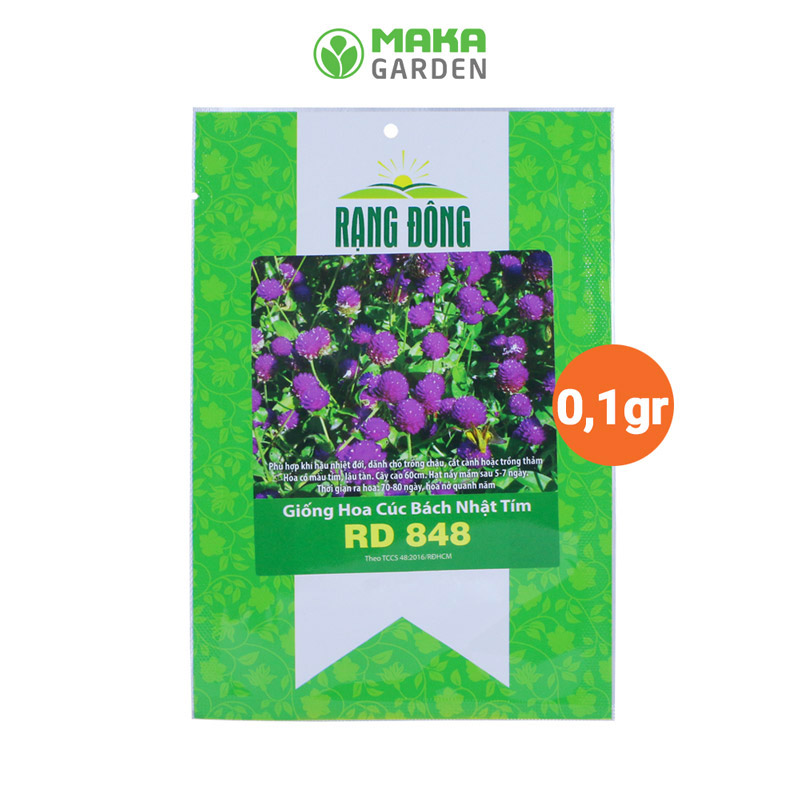 Hạt giống hoa Cúc Bách Nhật Tím RD 848