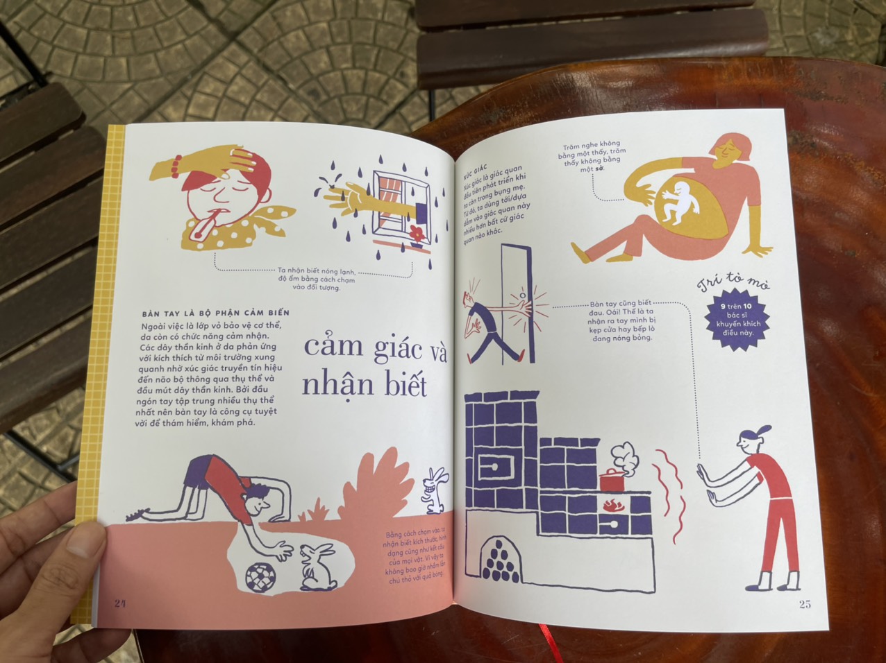 TỎ TƯỜNG TAY TA – Bách khoa toàn thư về đôi tay - Vítězslav Mecner - Magda Garguláková - Thư Vũ dịch - San Hô Books – NXB Thanh niên