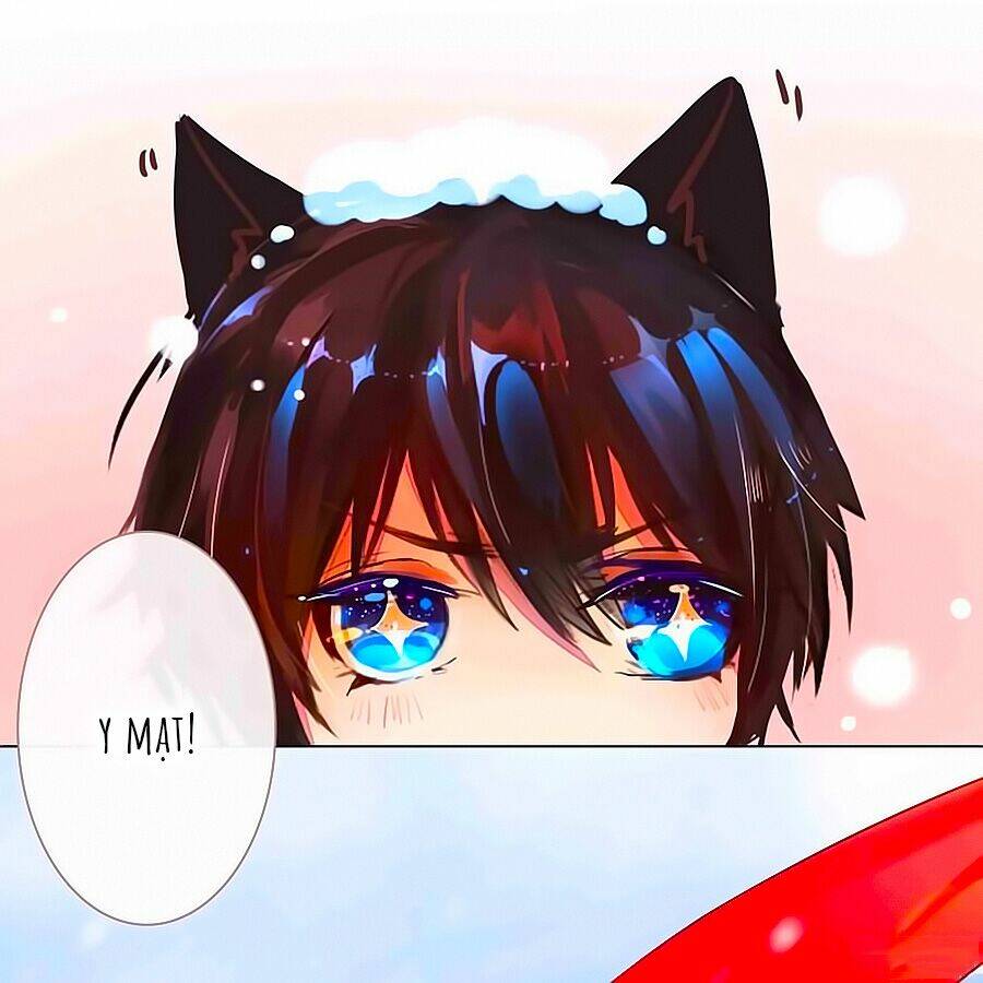 hào môn tiểu lãn thê chapter 15.5 4