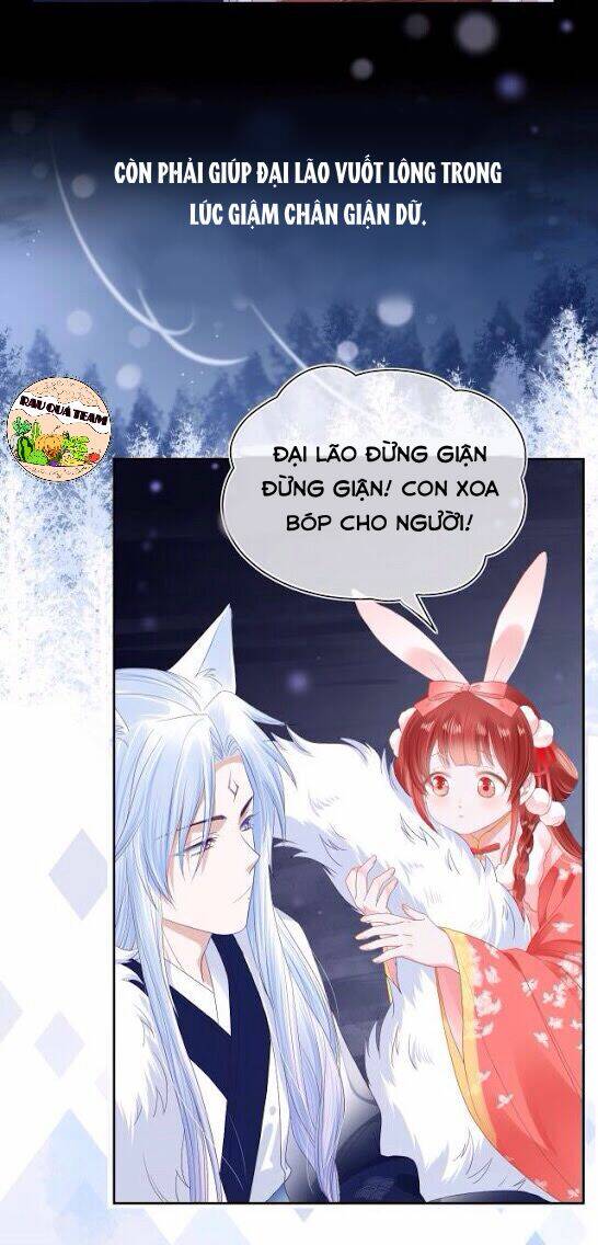 hắc hóa nam chính trực tuyến nuôi thỏ chapter 1 13