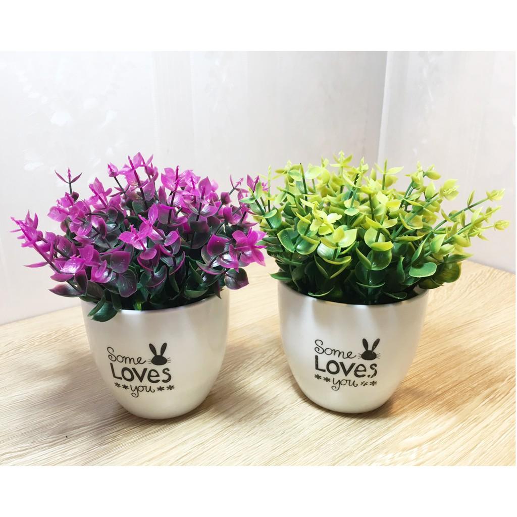 Hoa giả-Chậu hoa lá trang trí Some Loves You cao cấp để bàn, kệ sách, góc học tập, decor..