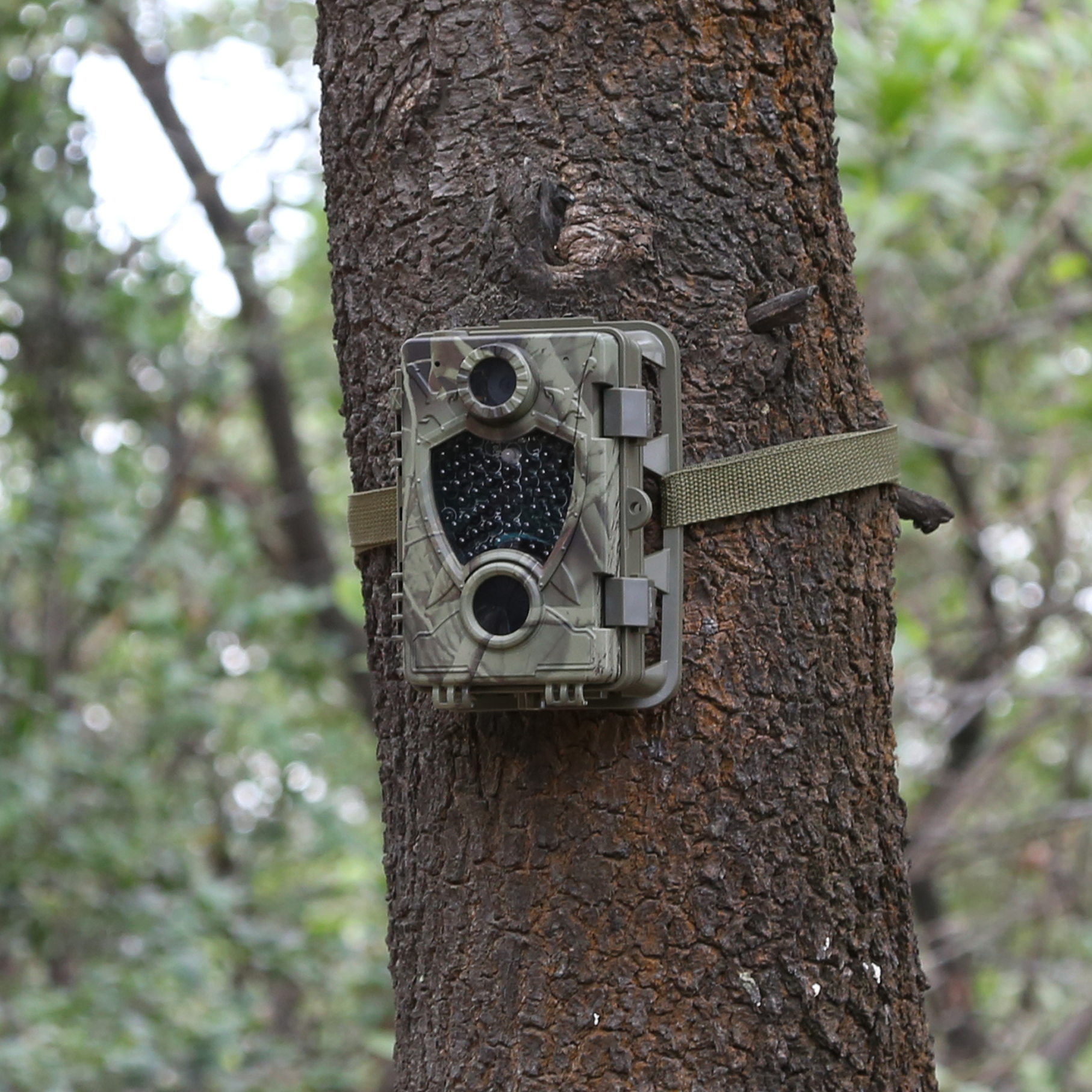Welltar 12MP CMOS Sensor Camera động vật hoang dã tốt nhất Camera chụp ảnh trò chơi tự nhiên được bán