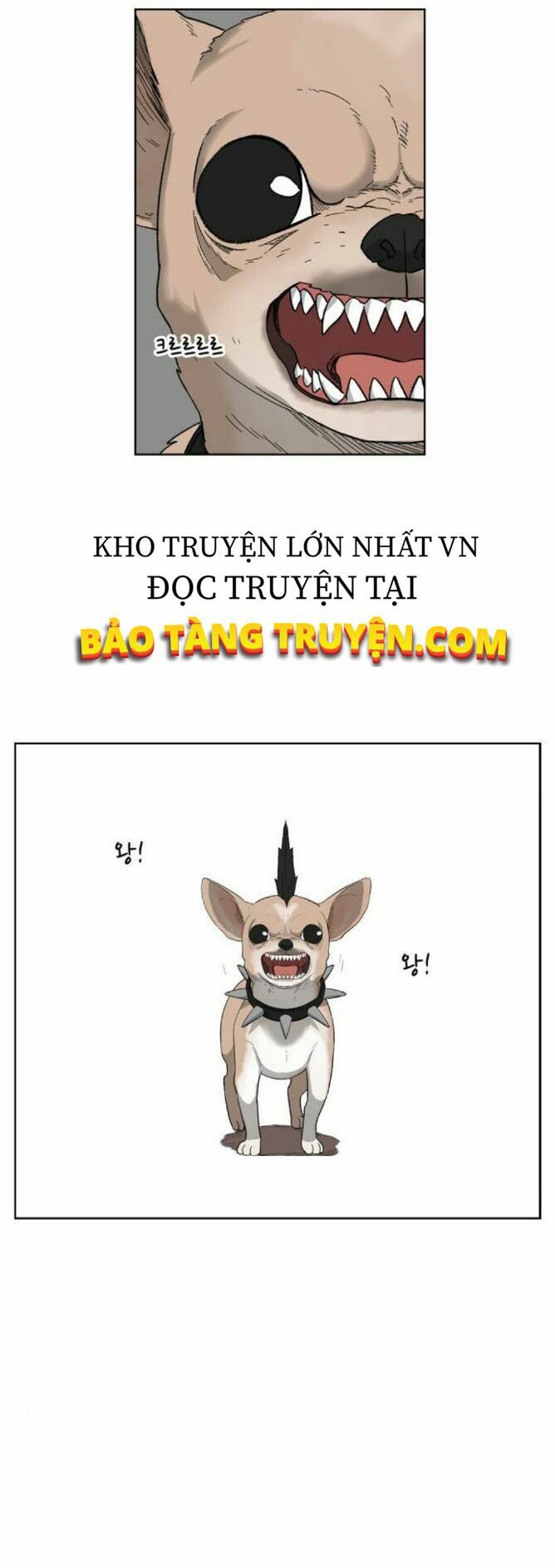 Võ Sĩ Quyền Anh chapter 75 19