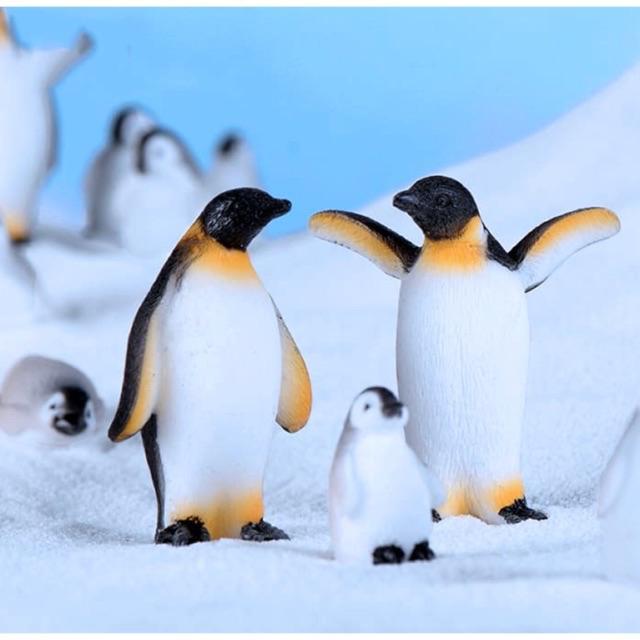 Phụ kiện tiểu cảnh: chim cánh cụt