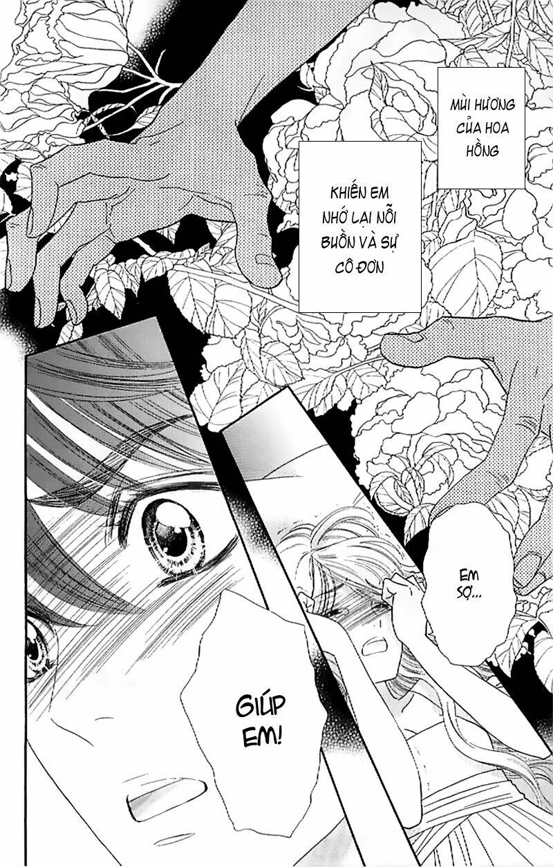 hoa hồng đỏ chapter 28 12