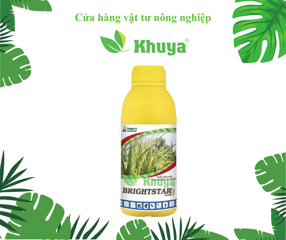 Điều hòa sinh trưởng Hợp Trí BrightStar 25SC 1 lít Paclo 25% dang nước