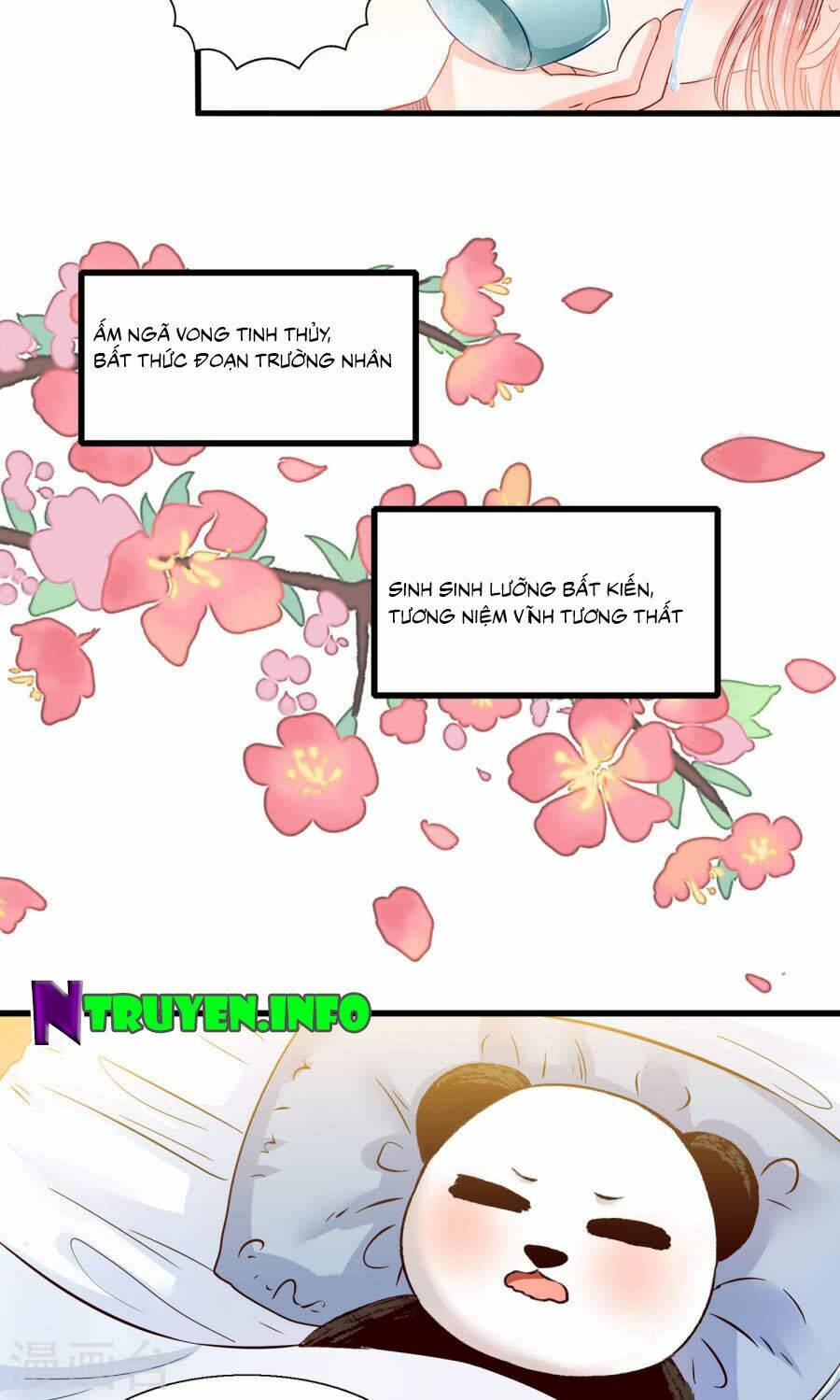 tôi bị gấu trúc nhìn trúng rồi chapter 12 28