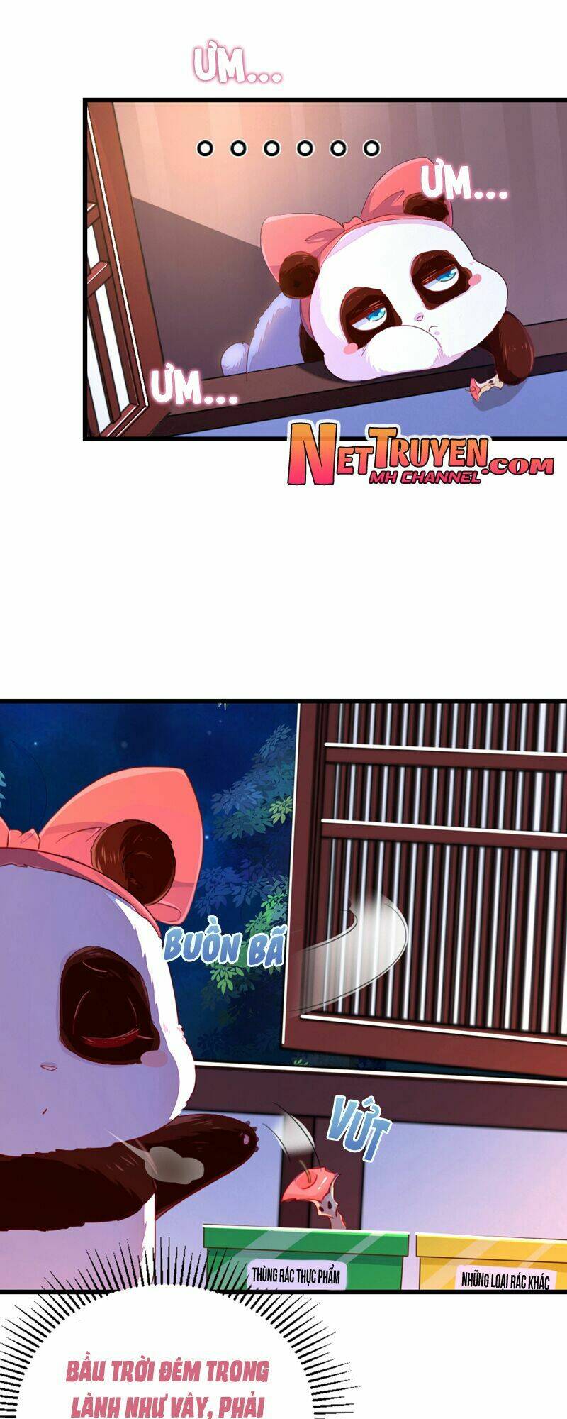 thiên thần gấu trúc muốn được ôm chapter 24 14