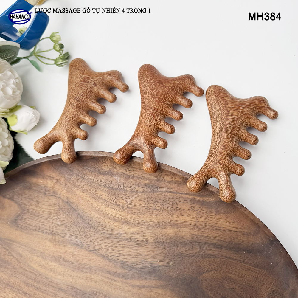Lược Massage Dụng Cụ Làm Đẹp Chuyên Nghiệp Gỗ Tự Nhiên 4 Trong 1 - HAHANCO - MH384