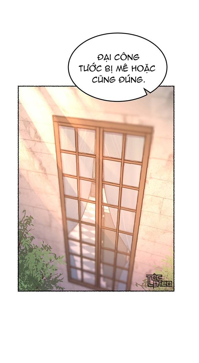 như gió trên cành cây khô chapter 19 16