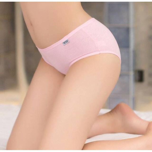 Combo 10 lót cotton Pulo xuất Mỹ loại 1