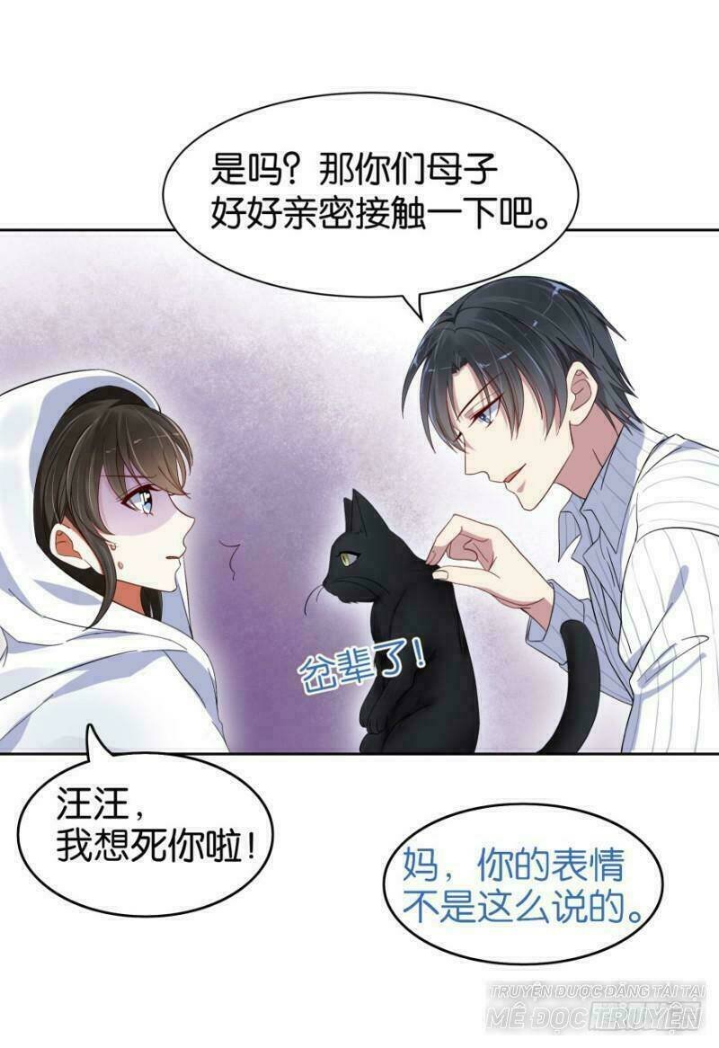 mộ thiếu, lão bà ngươi trọng sinh lại rồi! chapter 16 1