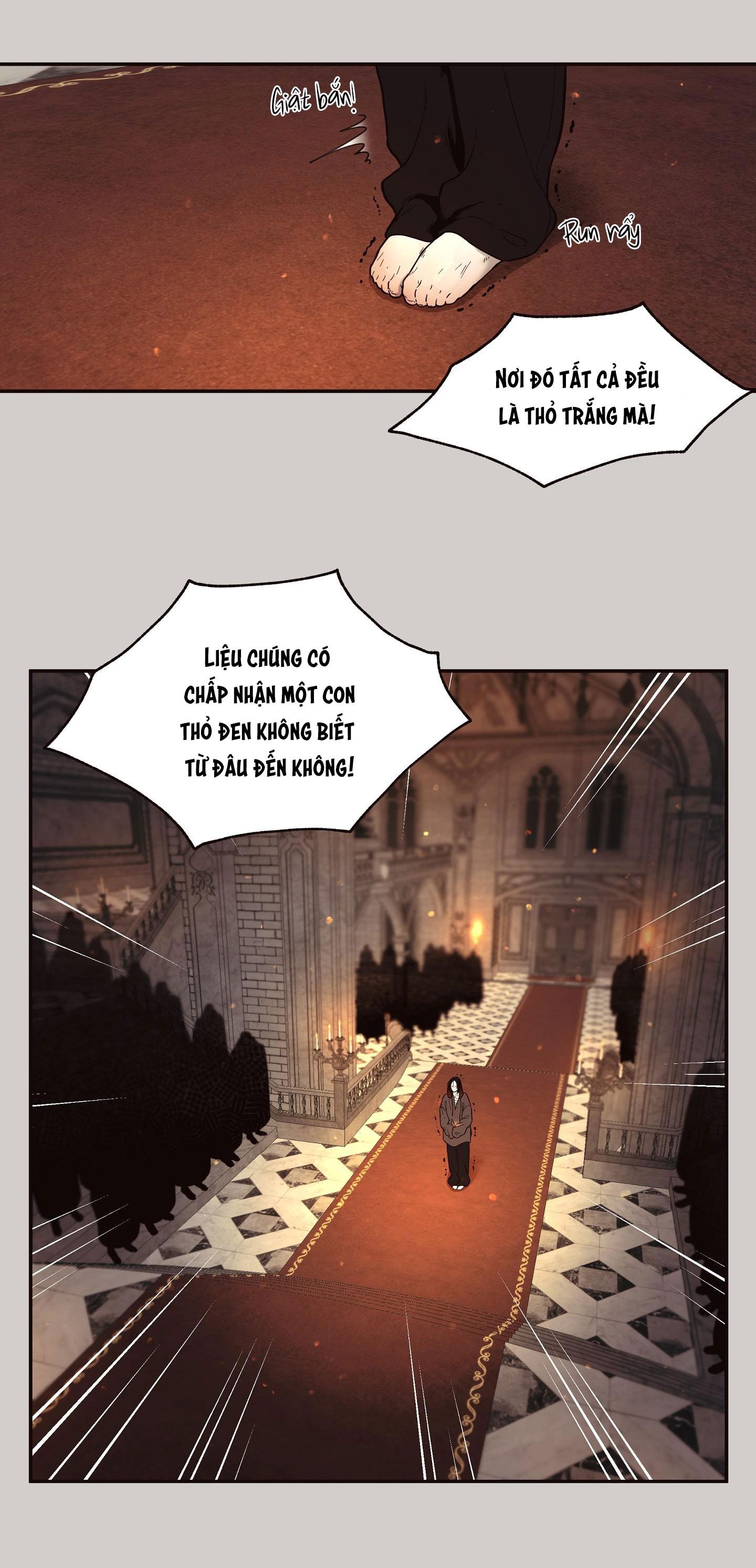 thỏ bắc cực chapter 1 21