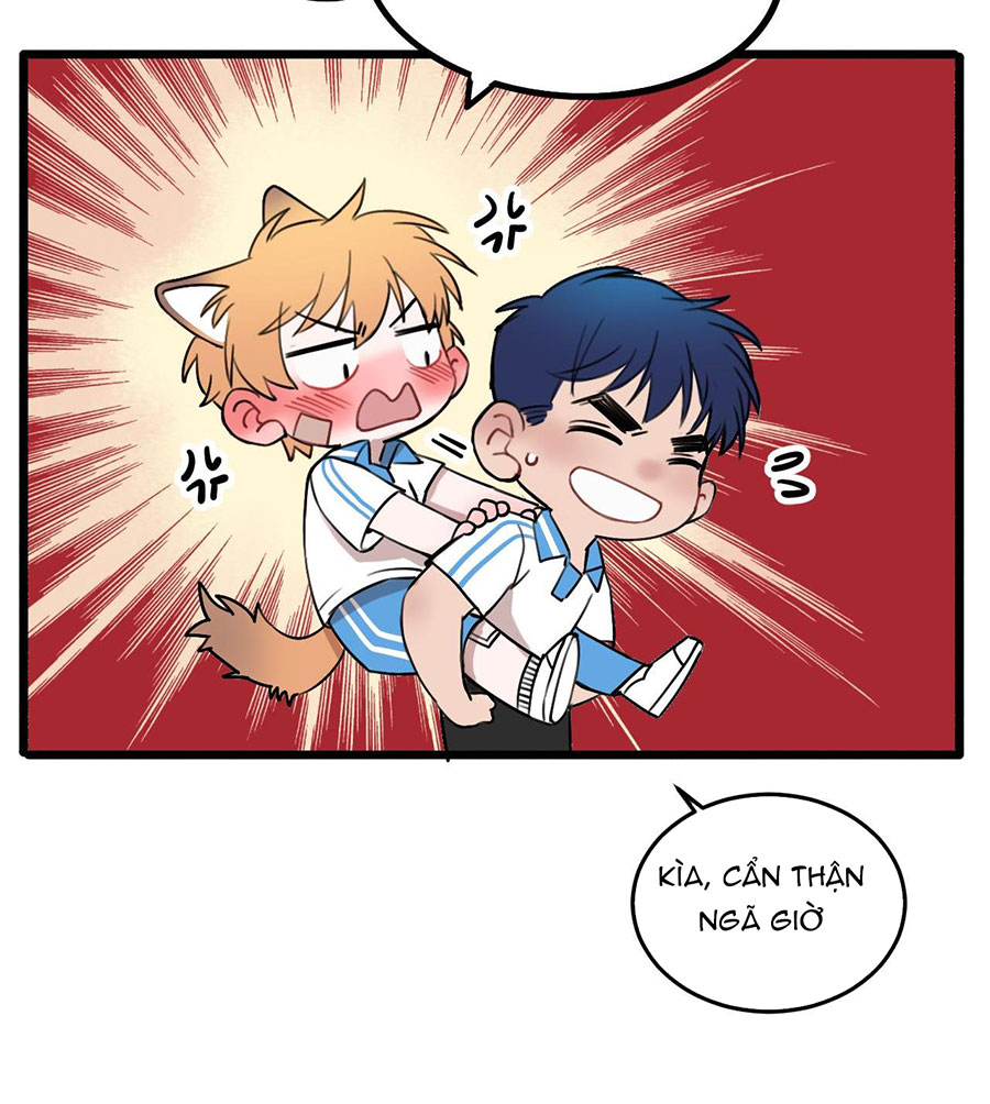 rốt cuộc bé mèo đang nghĩ gì ? chapter 13 40