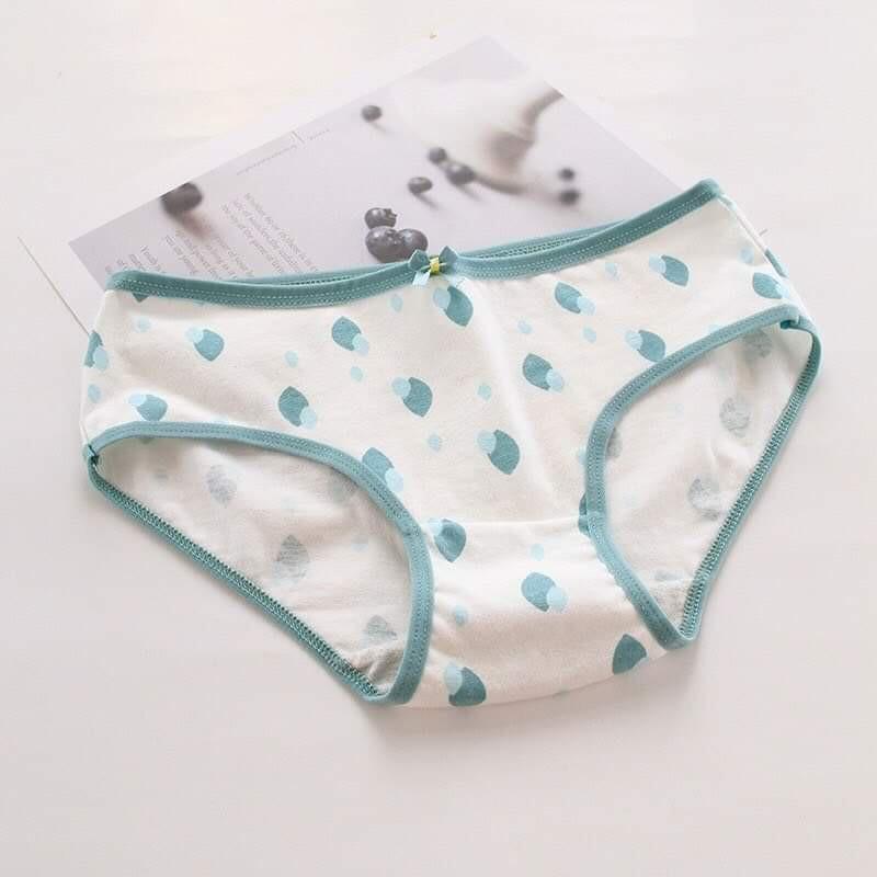 QUẦN COTTON HINH CHIẾC LÁ- 5 QUẦN 90K