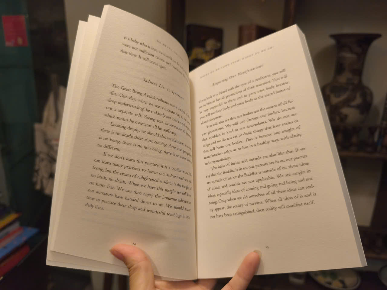 Sách - No Death, No Fear: Comforting Wisdom For Life by Thich Nhat Hanh