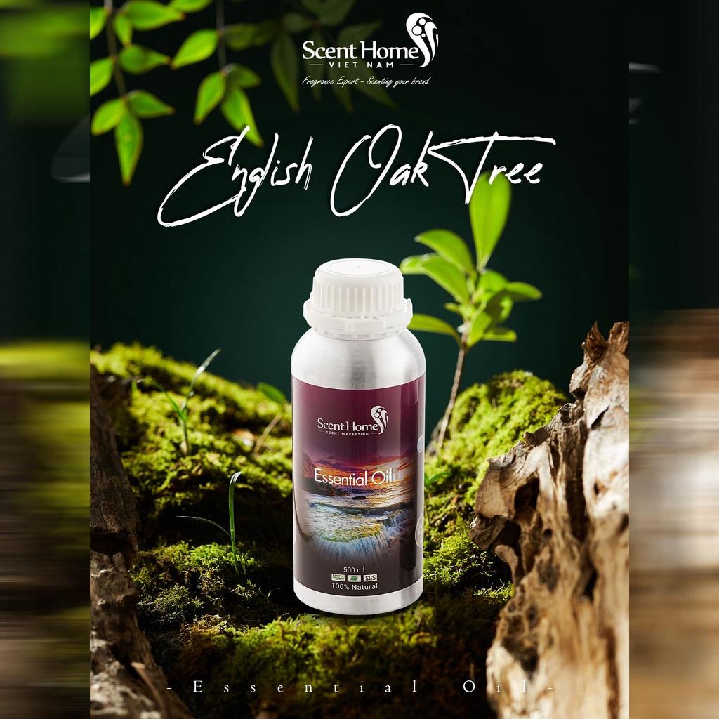 Tinh dầu Scent Homes - mùi hương
