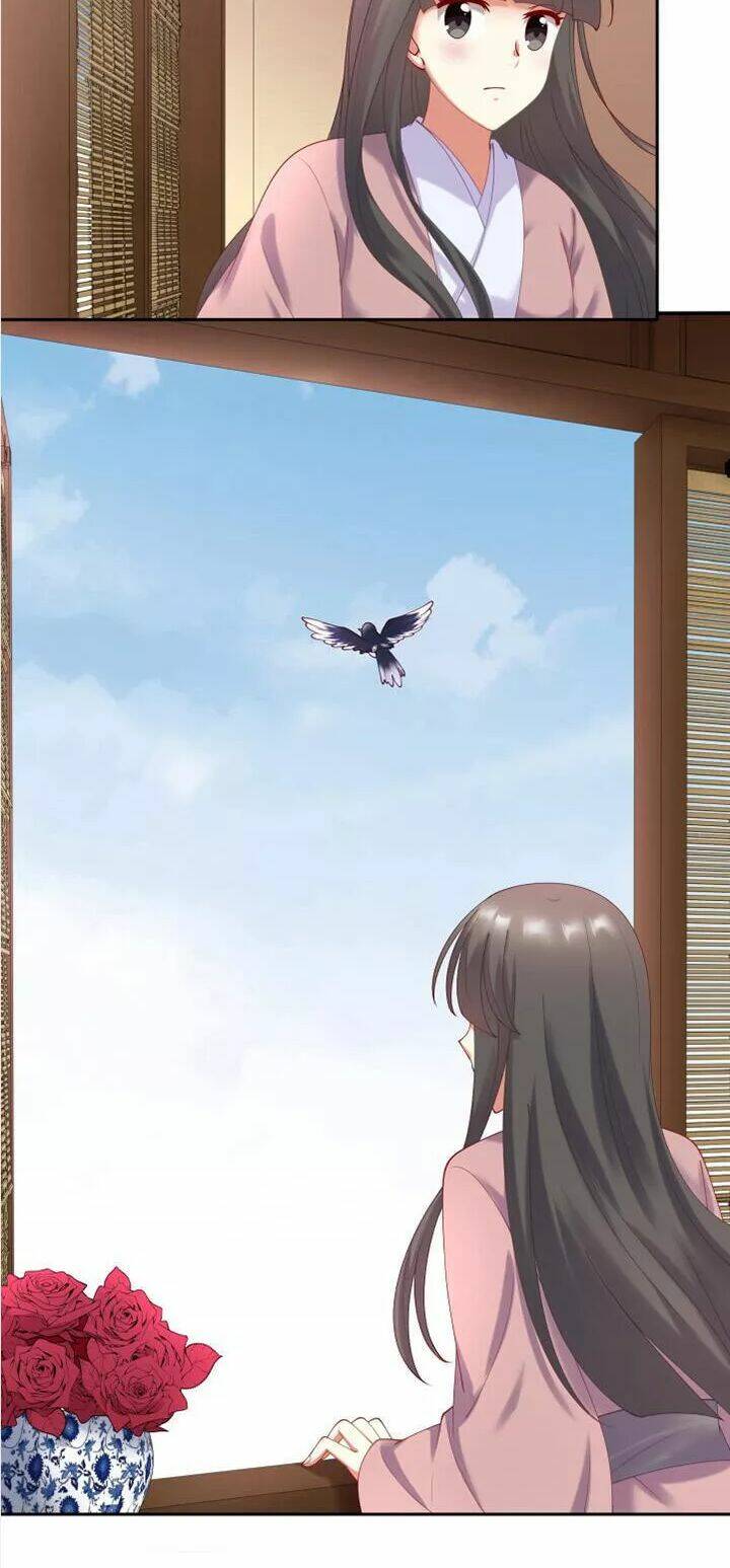 đô đốc đại nhân sủng thê kí chapter 67 18