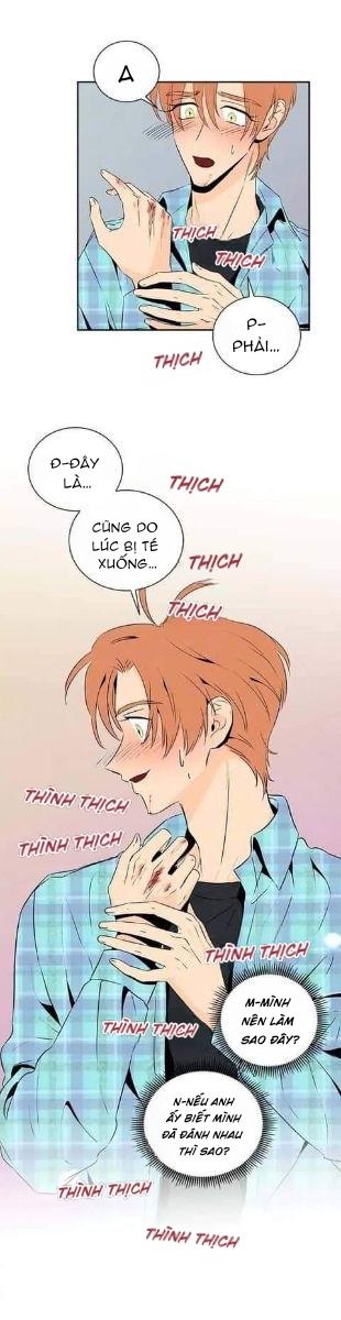 bona sort chapter 17 31