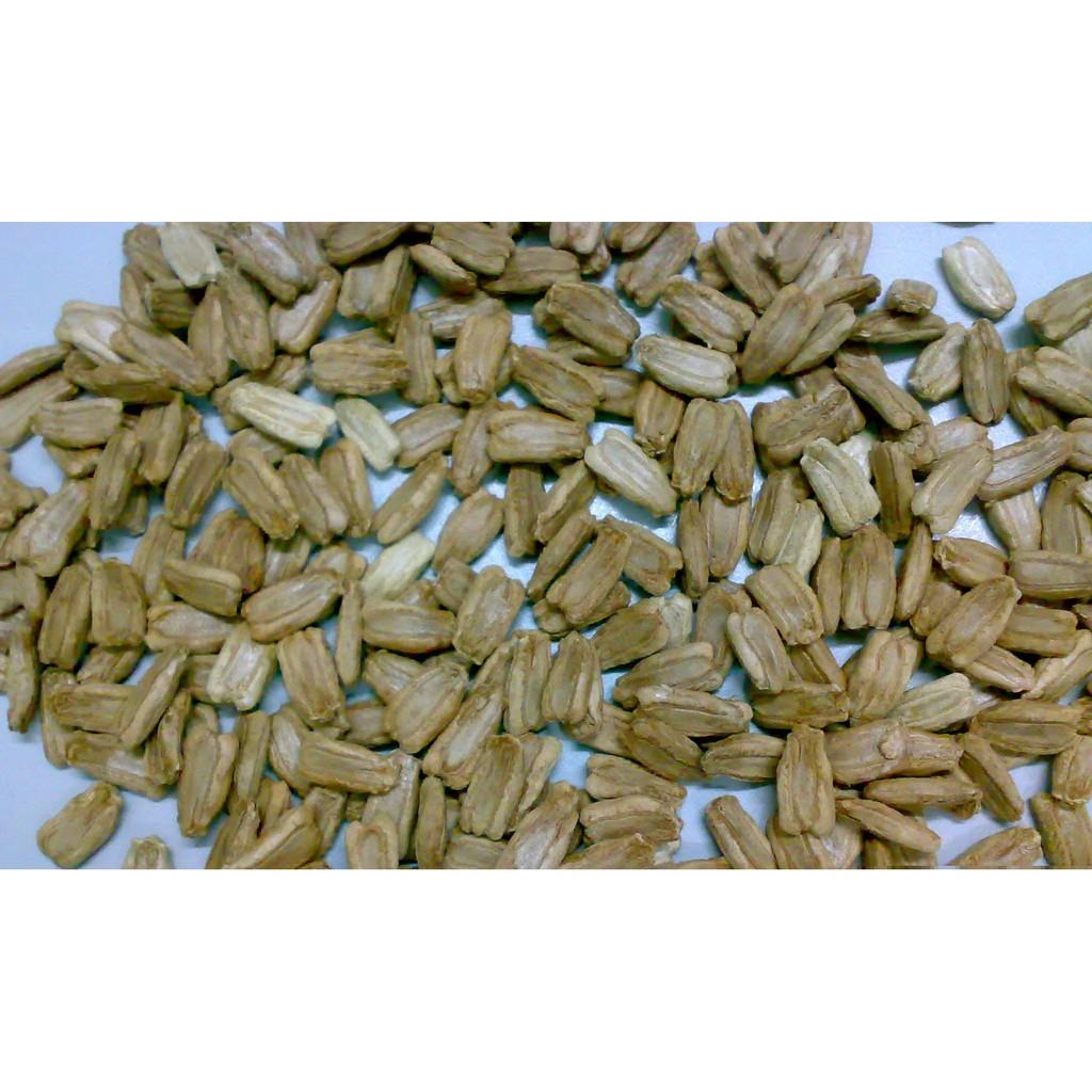Hạt Giống Bầu Hồ Lô - Phú Nông Seeds - Shop Phân Bón và Hạt Giống