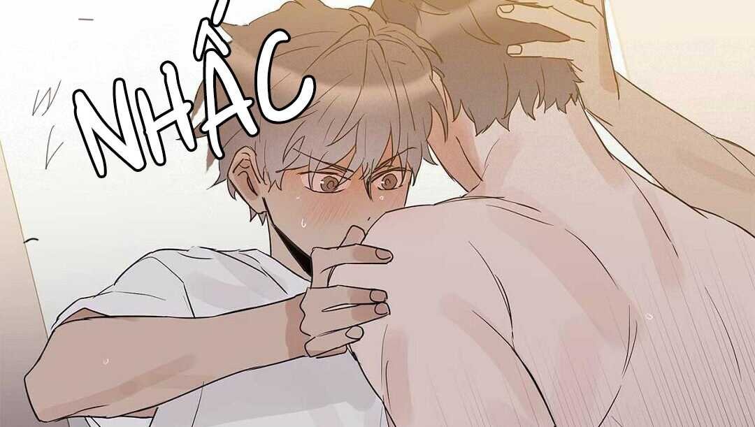 guide cấp b chapter 41 193