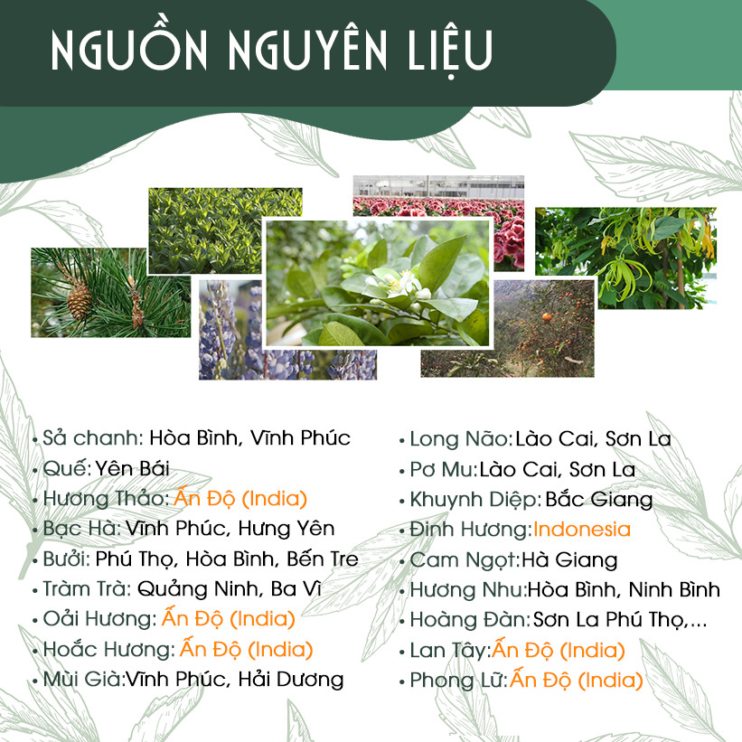 Tinh Dầu Treo Xe, Tủ Quần Áo, Nhà Vệ Sinh Mộc Nhiên Hương 8ml - Tự chọn 18 mùi - Chống say xe - Kháng khuẩn - Khử mùi hôi - Đuổi muỗi - Côn trùng - Hương thơm thư giãn