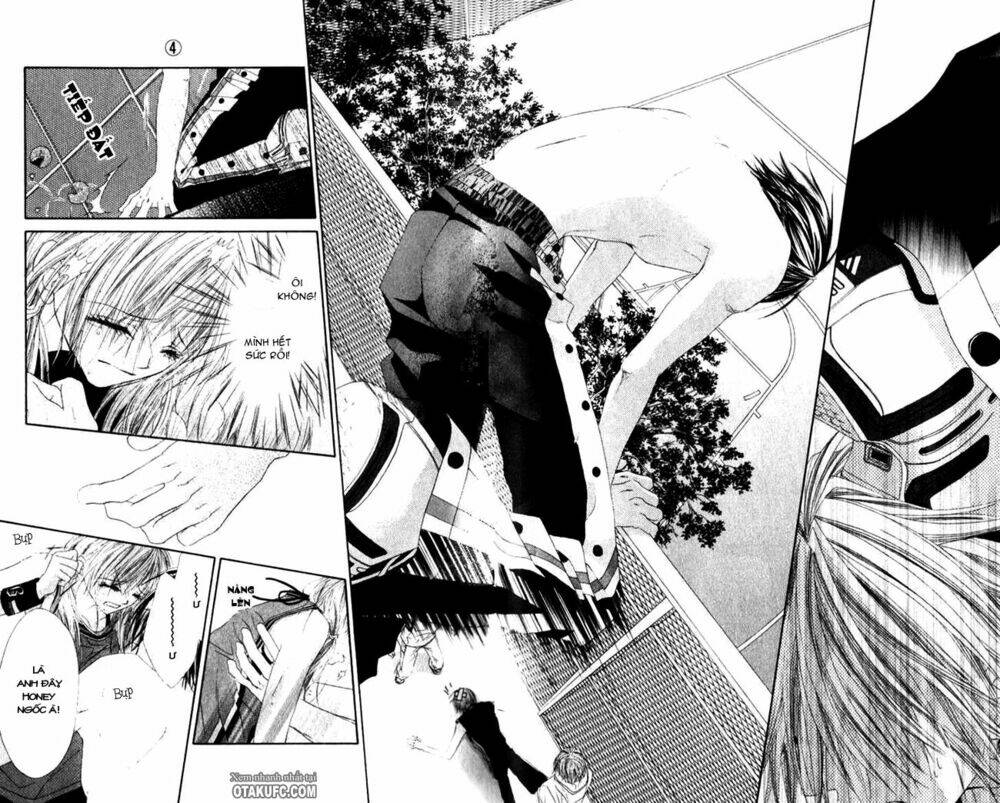 honey x honey drop chapter 22 26