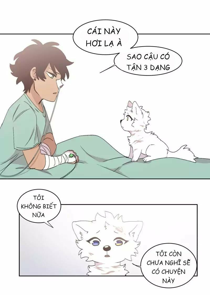 lumine - cội nguồn ánh sáng chapter 32 2