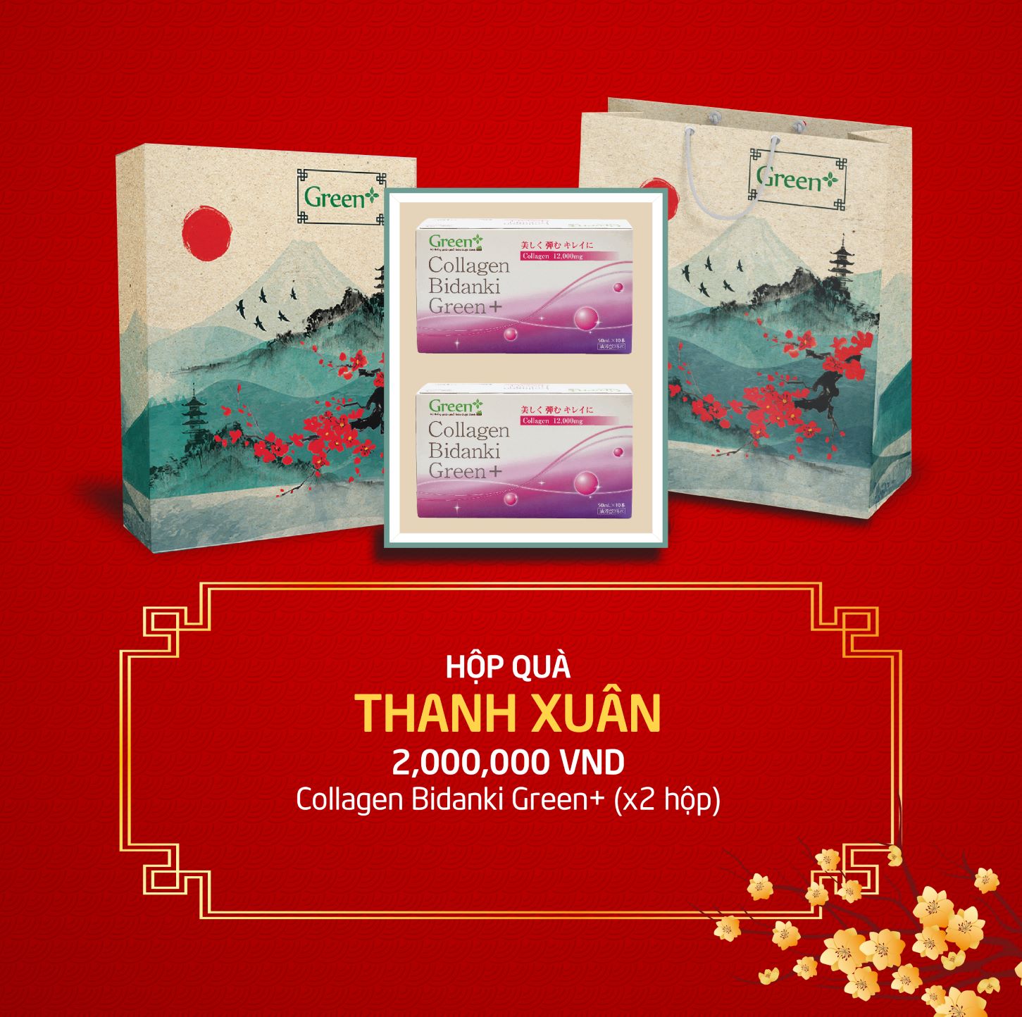 Hộp quà tết 2025 - Hộp quà sức khỏe Thanh Xuân