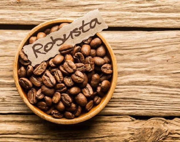 Cà phê Robusta pha phin rang mộc