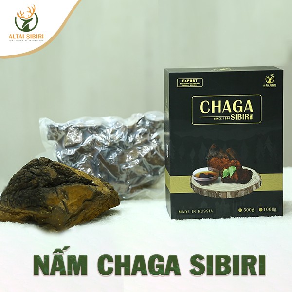 Nấm Chaga Sibiri  - Pha trà, Làm chậm sự phát triển của khối u, tốt cho người huyết áp cao, tim mạch, tiểu đường