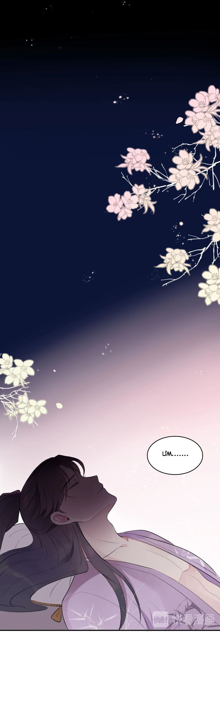 bổn vương không cần công chúa bế! chapter 2 35