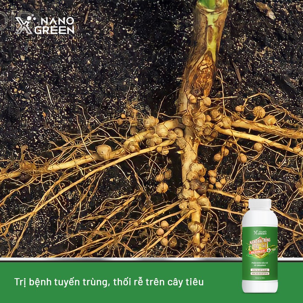 NANO BẠC ĐỒNG (Ag-Cu) PHÂN BÓN NANO XGREEN NÔNG NGHIỆP 1000ML HẠN CHẾ NẤM, KHUẨN, BỆNH VÀNG LÁ, THỐI RỄ, XÌ MỦ THÂN-AHT CORP