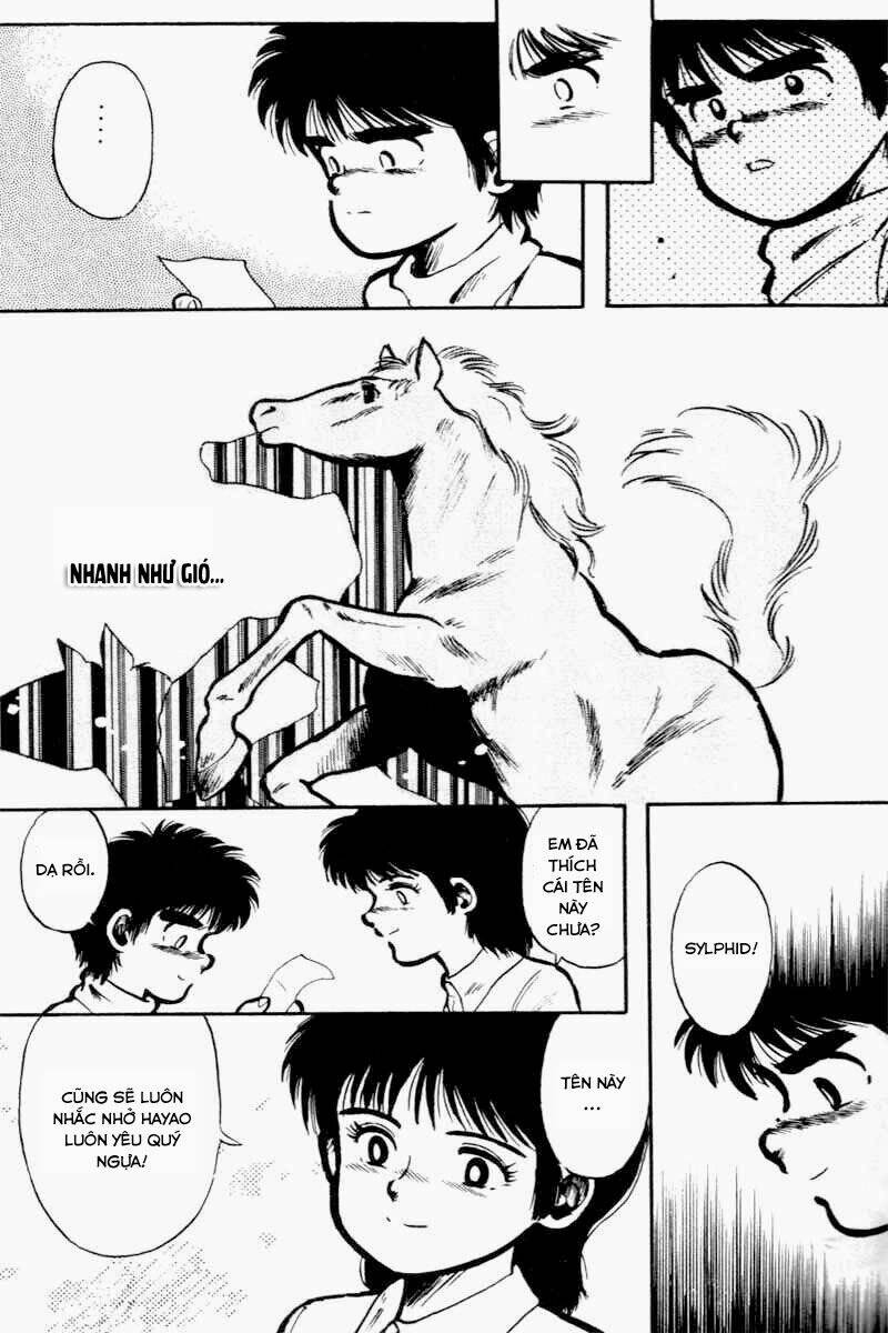 kaze no sylphid - phong mã silphid chapter 1 17