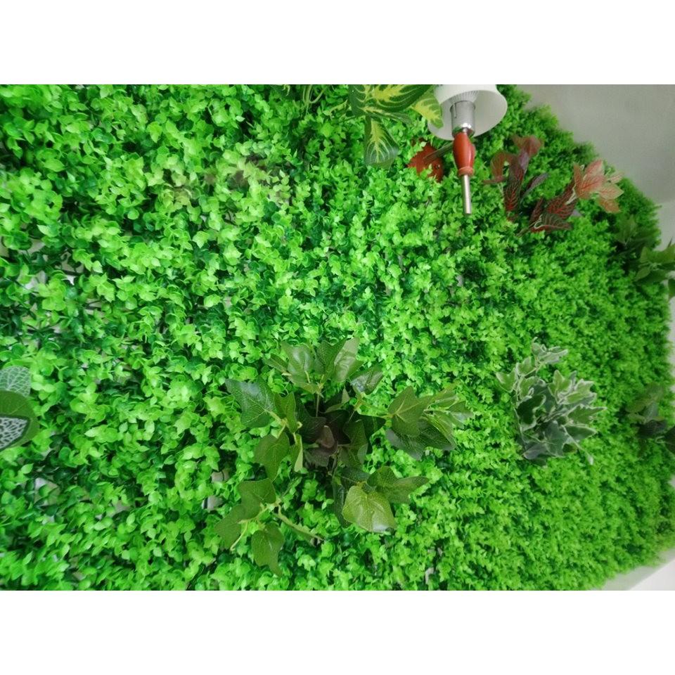 Cỏ nhân tạo trải sàn sân vườn hành lang ,lối đi cao 2cm