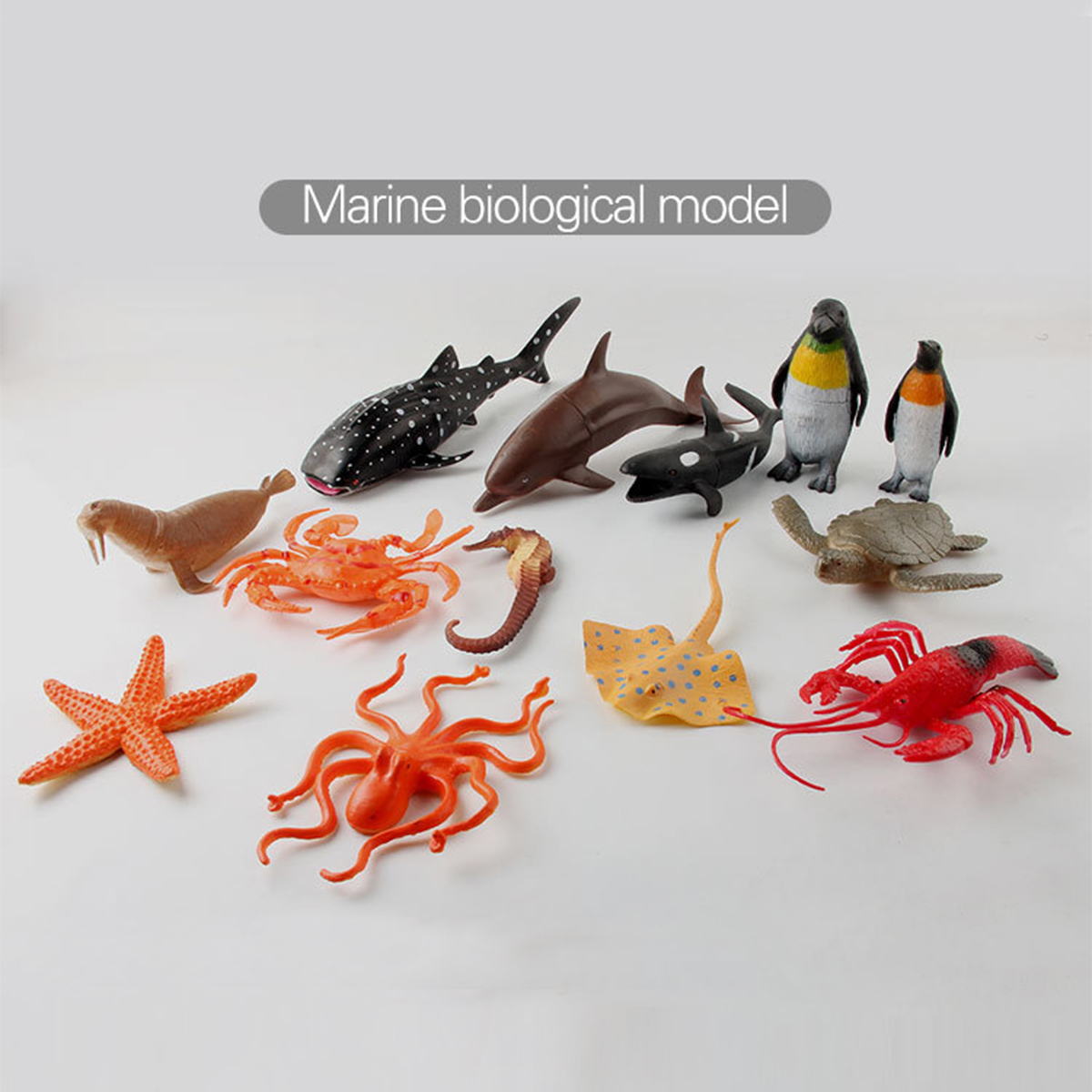 Đồ chơi 13 mô hình Cá biển &amp; sinh vật biển (14-18 cm) nhựa New4all Animal Ocean World Size lớn đồ chơi nhà tắm, đi biển