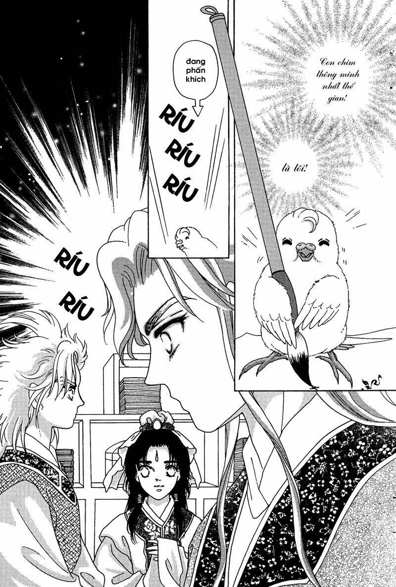 bird of youth chapter 7 22