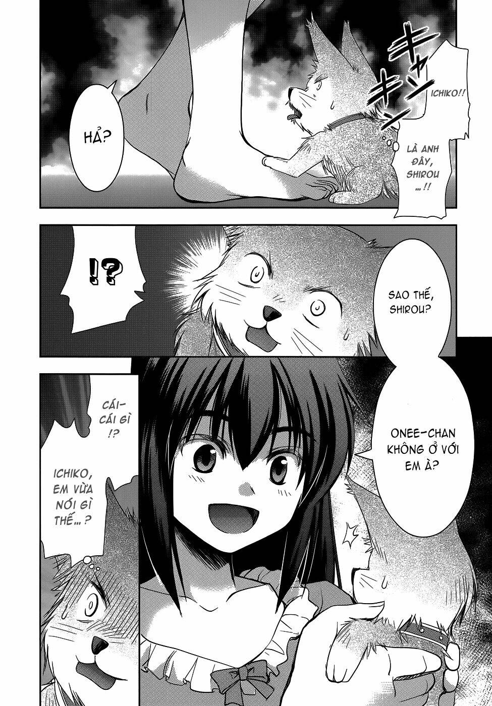 perowan! - hayaku shinasai! goshujinsama chapter 17 17