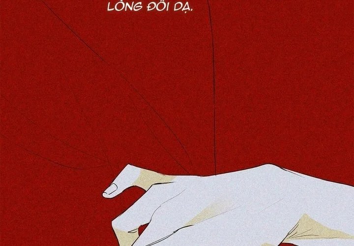 guide cấp b chapter 49 20