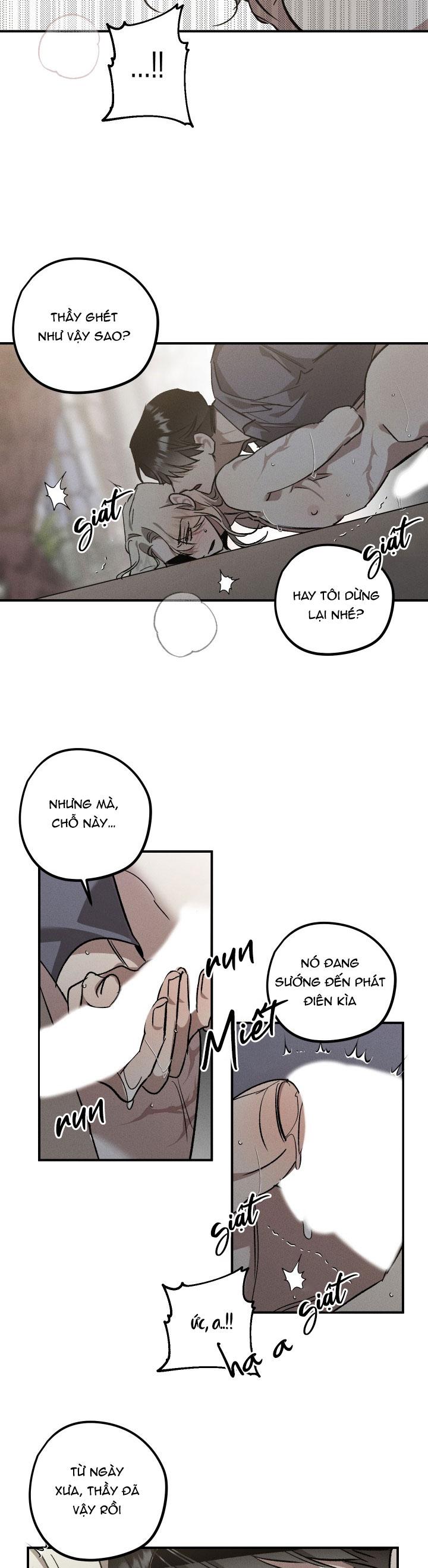 khu vườn hoa lavender chapter 4 19