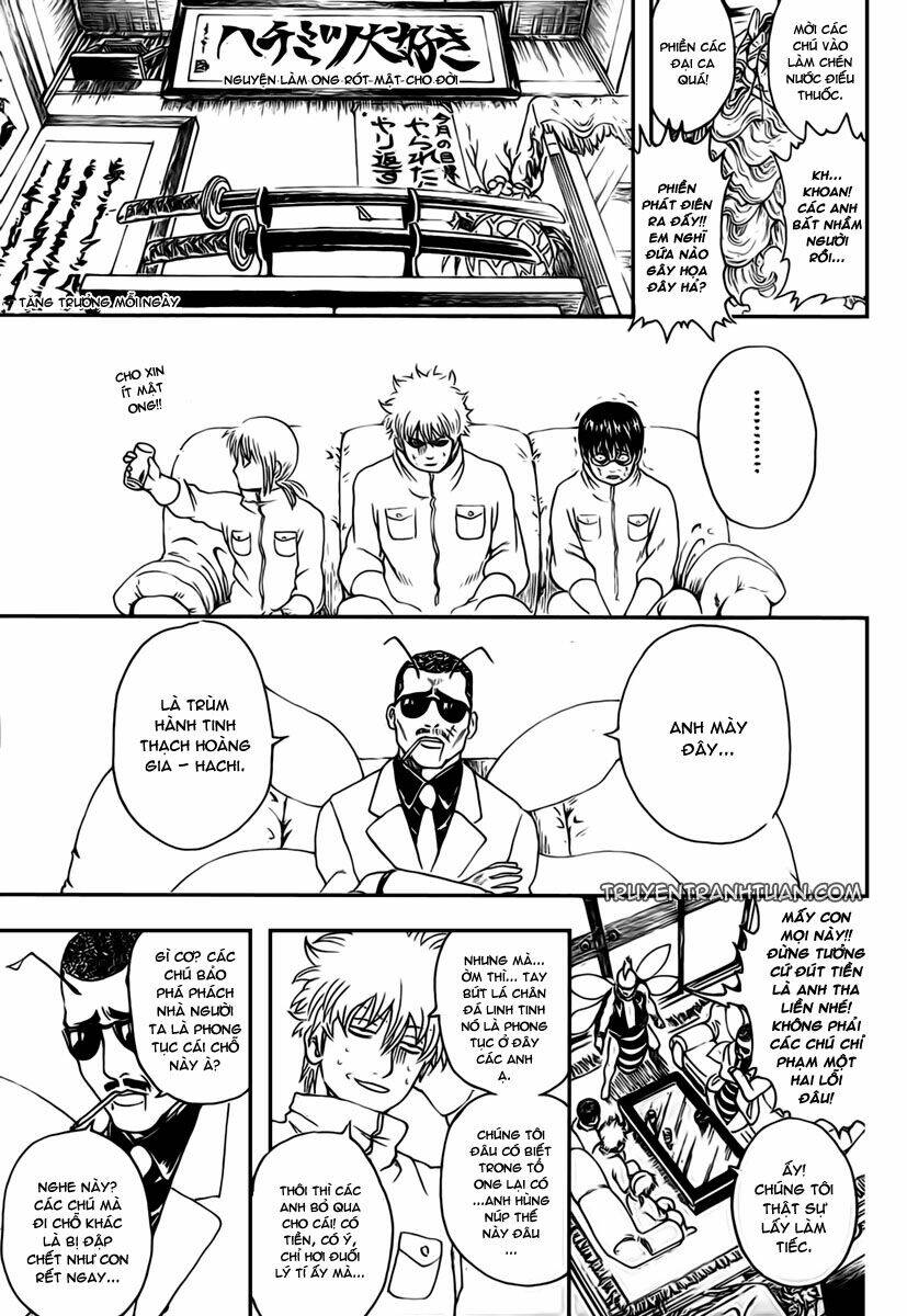 gintama - linh hồn bạc chapter 269 9