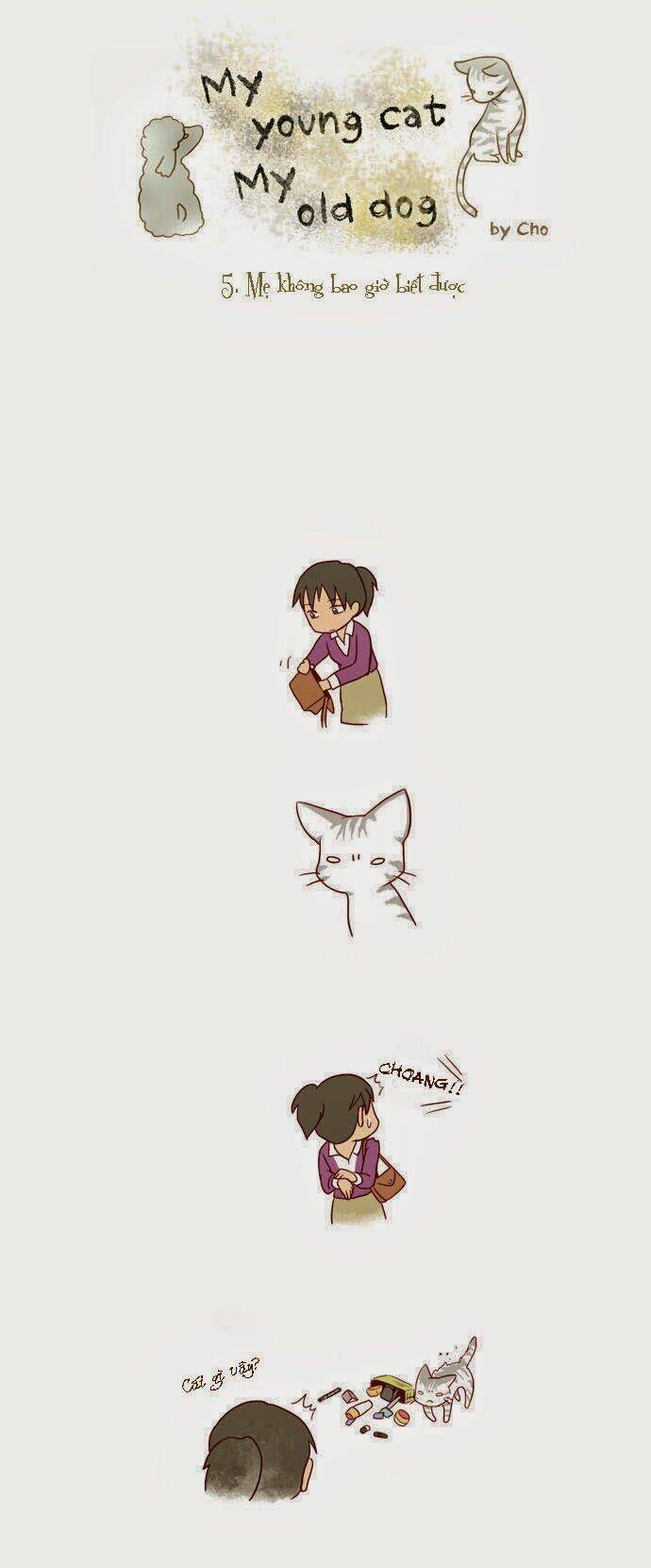 mèo con và chú chó già của tôi chapter 5 1